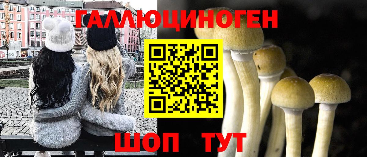 Псилоцибиновые грибы прущие грибы  Галлюциногенные грибы GOLDEN TEACHER  Вход с VPN  Баксан 