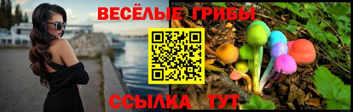 Псилоцибиновые грибы Psilocybe Баксан